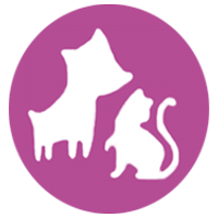 ComoCriar (@comocriarorg) 's Twitter Profile