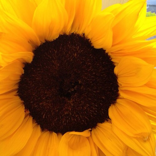 sandstop's profile picture. love yourself please...............