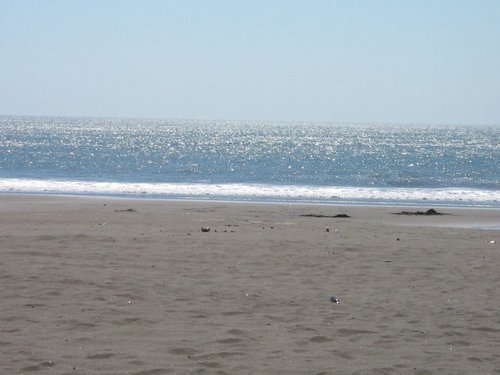 lichis_21's profile picture. I live today because tomorrow we just don't know. I Love the Life, Live and let live!