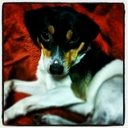 Cody J.R. - @CodyJackRussell - Twitter