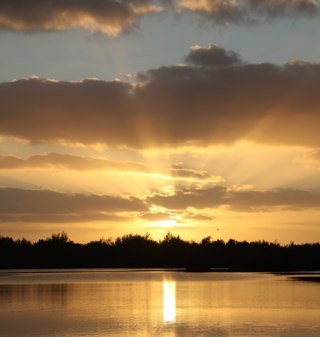 1macsnap's profile picture. Hollywood Camera operator, retired child actor, Live on the islands now, Love God, love dogs, the ocean and my husband! Promise made Promise kept.MAGA 🇺🇸🇺🇸