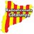 radioafcat's profile image