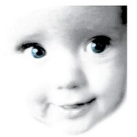 Nina S. Ulstein (@lykkeligbarndom) 's Twitter Profile