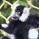 Rena Marquez - @NovelSonya - Twitter