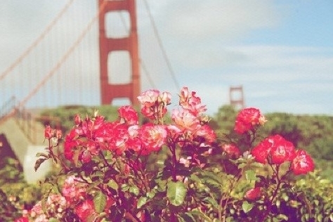 David919191's profile picture. 선한이웃되고 싶은 사람 많은 분들을 사랑하고 섬기고 싶은 사람이구요 실시간 맞팔 드려요 환영해요!