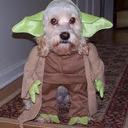 eva rayo - @eva_rayo - Twitter