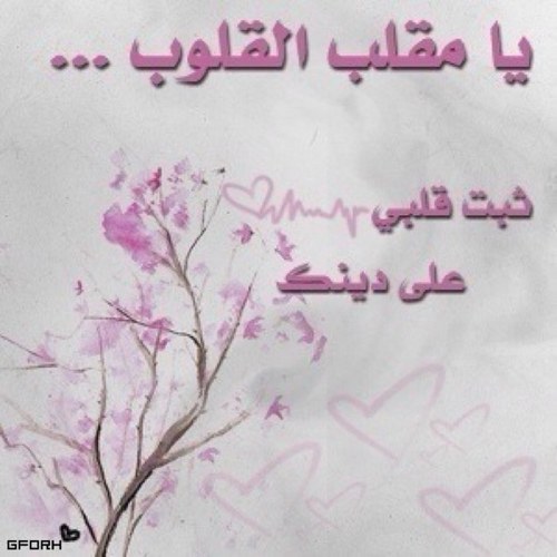 غادة الربيع