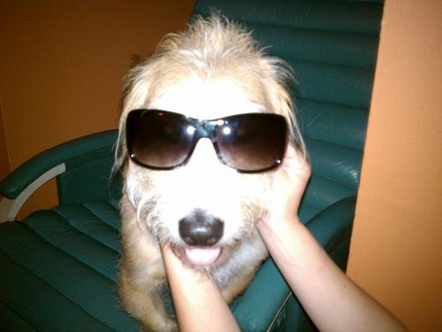 SleepyS40's profile picture. 