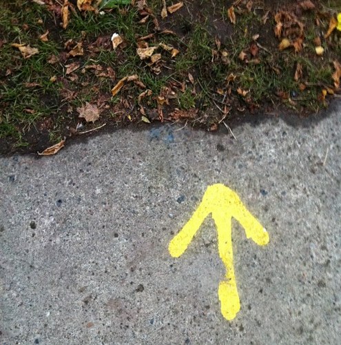 JCutbill's profile picture. 