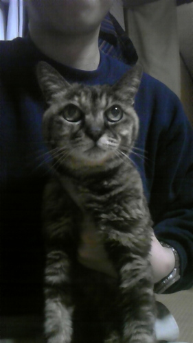 中樹　冬弥@新作執筆中