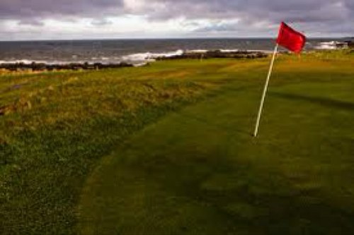 slaggyflaggy's profile picture. i am a flag and a massive slag. i am a secret but i am not...i am a mascot. LETS GET FUCKING MORTAL NA NA NA NAA