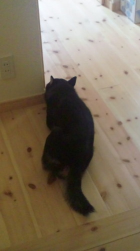 yoshihito_yamo's profile picture. ダイアリー代わり  もはや愚痴しかない