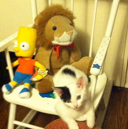 LevyBarbara's profile picture. 