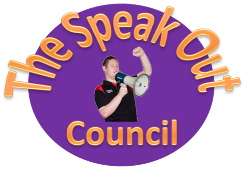 Adults with learning disabilities representing other adults with learning disabilities