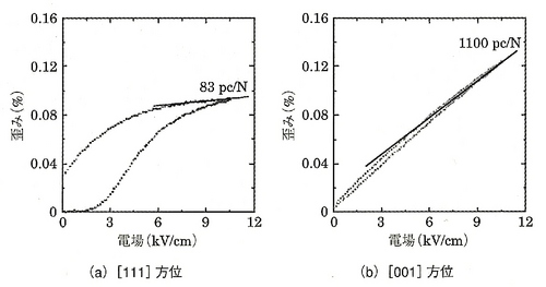 domaindynamics's profile picture. 