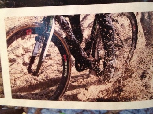 StaceyBarbossa's profile picture. Space traveler