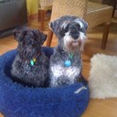 Mike Maher - @MikeyjM_Aus - Twitter