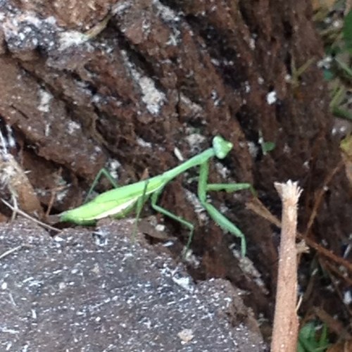 davetn23's profile picture. 