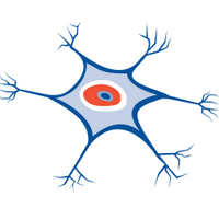 NeuroML Developers (@neuroml) 's Twitter Profile Photo NeuroML Developers (@neuroml) 's Twitter Profile Photo