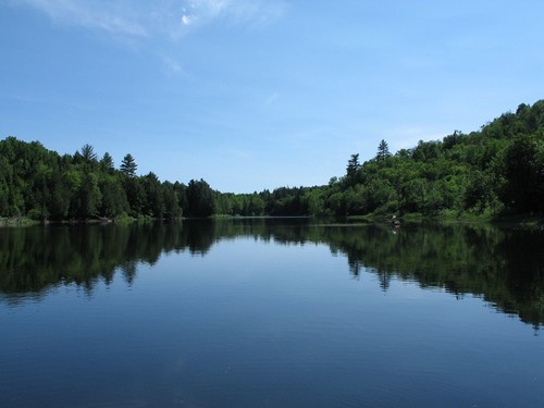 AnnikPerron's profile picture. Directrice des coms chez Valacta, aime la créativité, la nature et le futur.