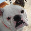 Troy Hines - @Manzetti - Twitter