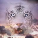 Jim Holden - @wildman690 - Twitter