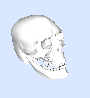 3D printer