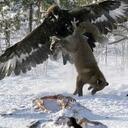 olive wilson - @jaack53 - Twitter