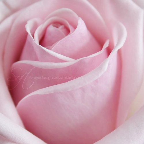 Aya__Benzer's profile picture. Aya_Benzer