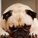 Aiden Day - @dwenlyday - Twitter