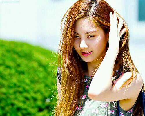 SNSD_SHhtob Profile Picture