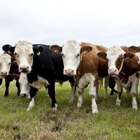 Farm Platform (@farmplatform) 's Twitter Profile