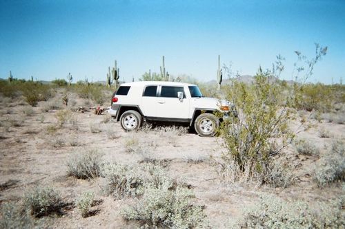 RDeanAz's profile picture. Incident Manager