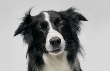 meganetoketa's profile picture. 富山大学←海城←希望が丘/バド