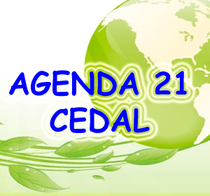 O Agenda 21 Cedal é um grupo de Adolescentes em prou do nosso mundo! Ajude-nos a salvar o nosso planeta!