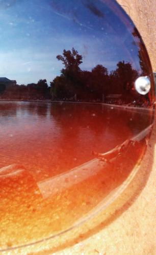 AlexMalgua's profile picture. 2012 or The Intoxicating Malgua Re-(E)volution - A tweeting year on Writing, Art Making, Her Madgesty & Music Loving.