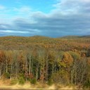 Michelle Orman - @Mybellers4evr - Twitter