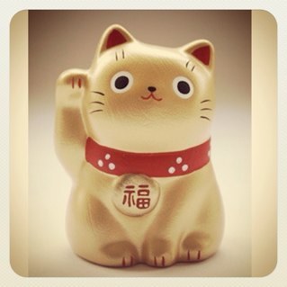 kik_arq's profile picture. arquitecta / inspire me