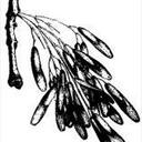 Marion Snyder - @TransPenetrable - Twitter