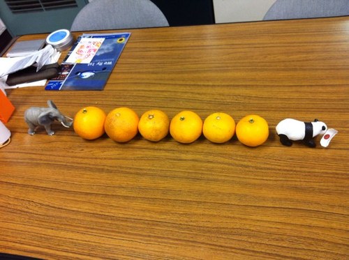 ihciaddaichi's profile picture. Cognitive Science（認知科学）の研究者です。山の麓か山頂でフィールドワーク・実験でダンスや芸術の研究をしています。

家では寝てしまうため、スタバなどカフェ仕事が好みです。キーワードは、ダンス（ブレイキン）・熟達・創造性・同期・協調・日本酒・焼き鳥（味噌）・ブラザーです。