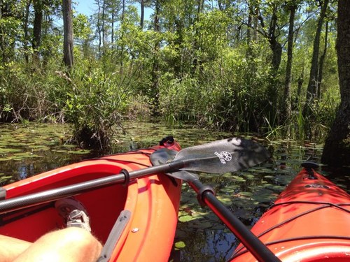 margspenn's profile picture. 