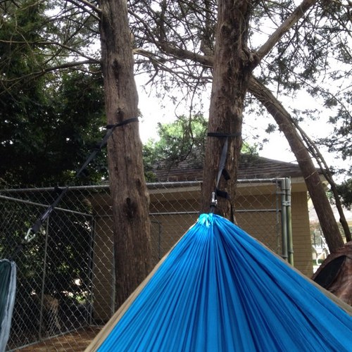 ENOproblems's profile picture. 