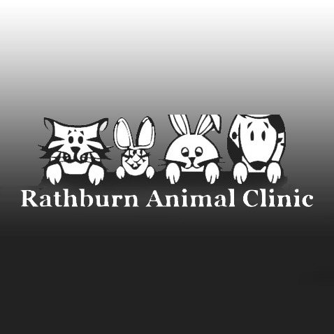 Our veterinary clinic and animal hospital is run by Dr. Nancy Roncal, who is a licensed and experienced veterinarian.