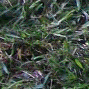 Dean Tindall - @BAC2BAS6 - Twitter