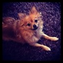 CoCo Roberts - @CoCoRoberts - Twitter