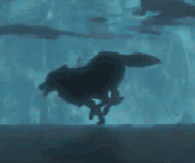 I_am_Scalpr's profile picture. Pingpong $NQ, here to learn and build.