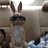 Bunnnsss's profile image