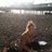 laurenstaple123's profile image