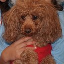 Joe Dearing - @Jfdearing - Twitter