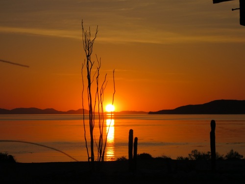 Exploring the remote beaches, canyons and deserts of the Baja Peninsula. Join us for a trip of a lifetime! Sit back, relax and enjoy the adventure of Baja!